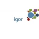 Logo de Igor